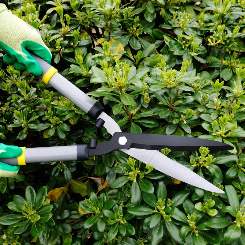 Colwelt Hedge Clippers 21'', Hedge Shears for Trimming Borders, Boxwood, and Bushes, Hedge Gardening Shears with Carbon Steel Sharp Blades & Ergonomic Comfortable Handle - Image 3